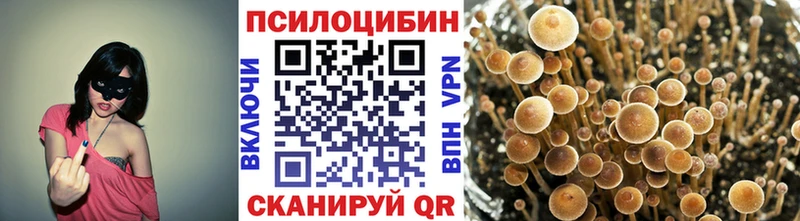 Галлюциногенные грибы Psilocybe  Старый Крым 